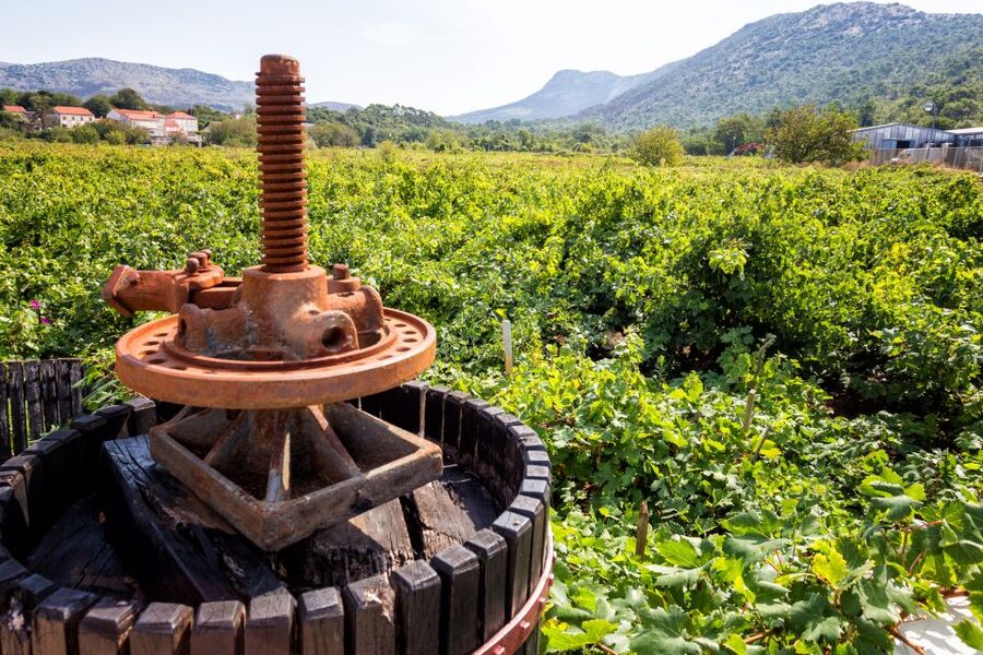 From Dubrovnik: Island of Korčula with wine tasting - Why this Dubrovnik day trip works