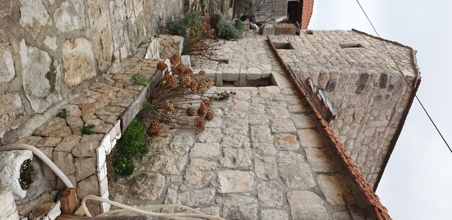 From Dubrovnik: Majkovi Village and Ston Private Food Tour - Who should book this private food tour?