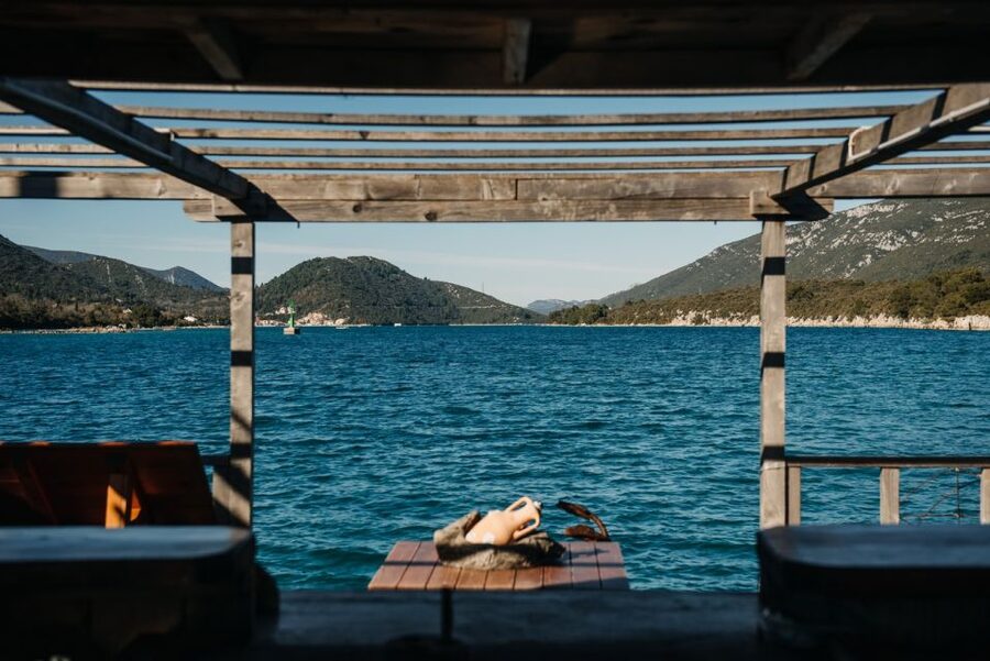 From Dubrovnik: Mali Ston Oyster Paradise Tour with Transfer - Why the oysters are worth the trip from Dubrovnik