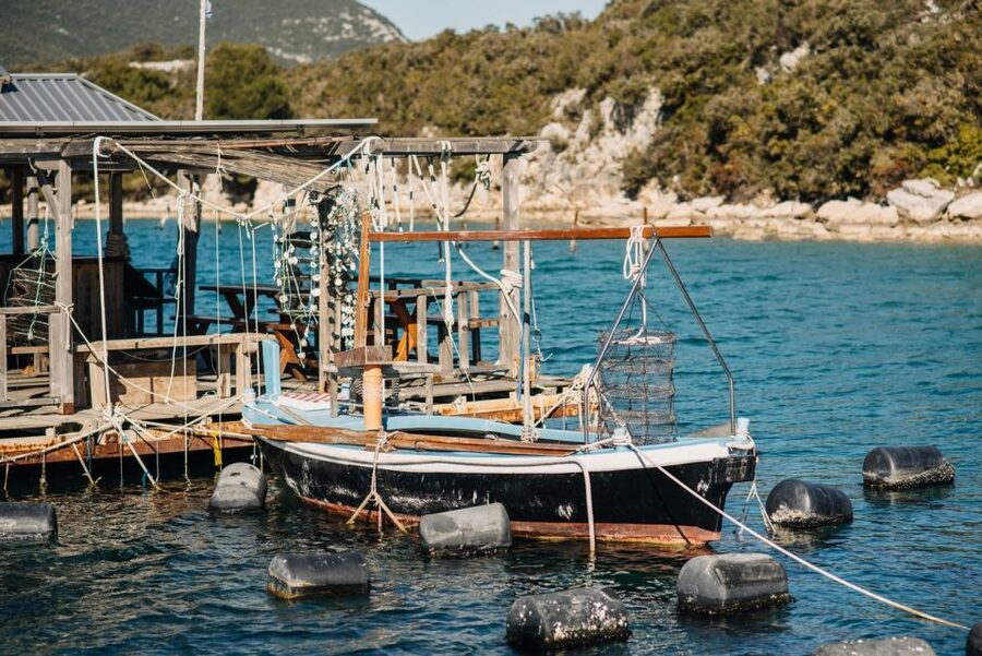 From Dubrovnik: Mali Ston Oyster Paradise Tour with Transfer - Who will enjoy this outing most