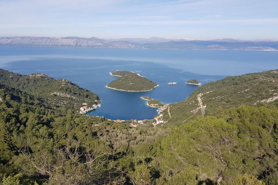 From Dubrovnik: Pvt Speedboat Cruise to Mljet&Sipanska Luka - Cruising past Jakljan and Olipa