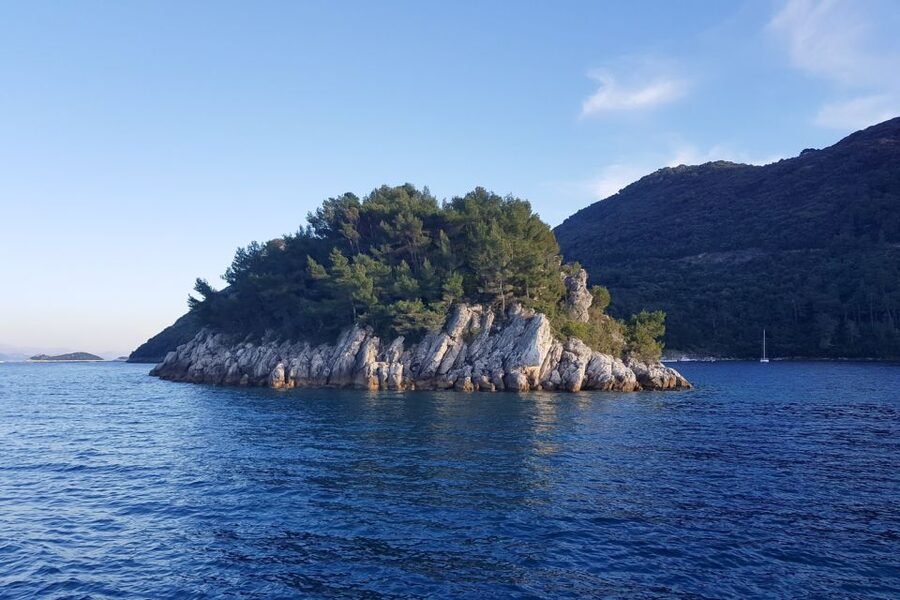 From Dubrovnik: Pvt Speedboat Cruise to Mljet&Sipanska Luka - Kolocep’s Blue Cave on the way back