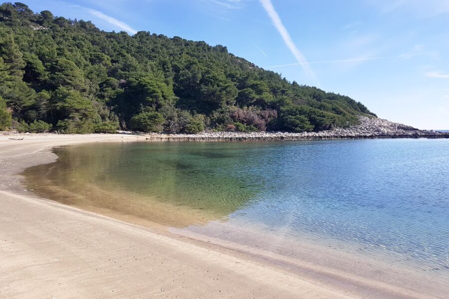 From Dubrovnik: Pvt Speedboat Cruise to Mljet&Sipanska Luka - What the private format is really worth