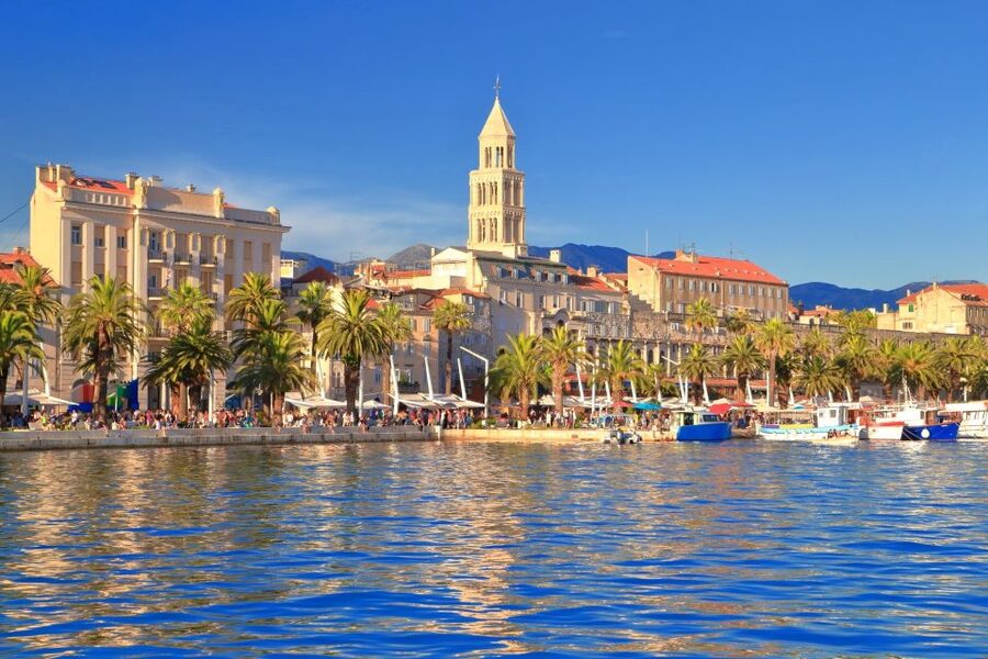 Full-Day Trip from Dubrovnik to Split - The roadside stop for mandarins and honey