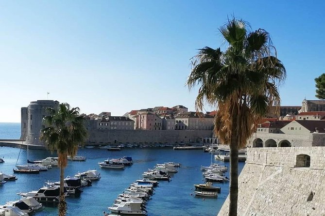 Guided Tour to discover Dubrovnik's Old Town, by day or night - Key points to know before you book