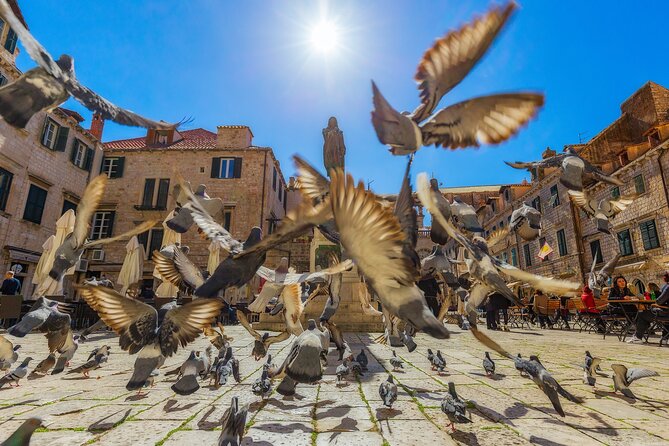 Guided Tour to discover Dubrovnik's Old Town, by day or night - City-wall views and photo stops