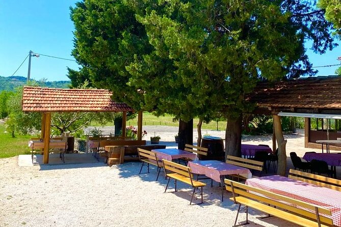 Half-Day Wine and Food Tasting from Dubrovnik - Who will enjoy this half-day outing?
