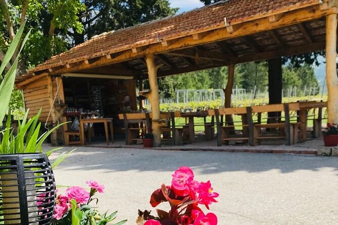 Half-Day Wine and Food Tasting from Dubrovnik - Timing, pickup, and cancellation details