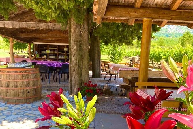 Half-Day Wine and Food Tasting from Dubrovnik - A 1540 family winery, not a polished wine museum