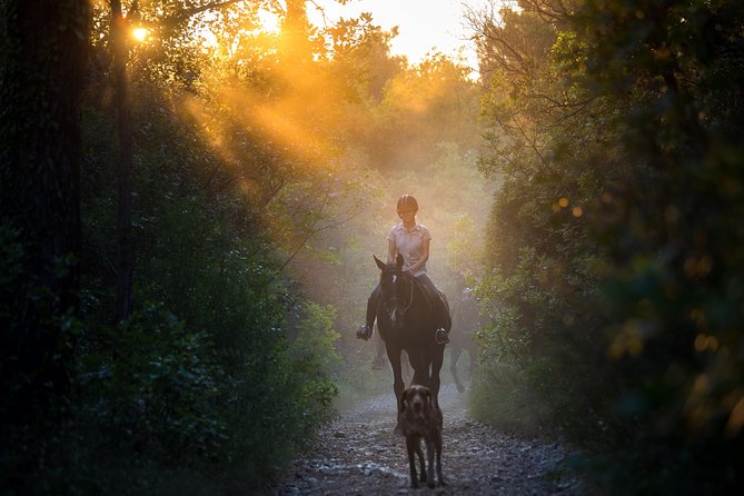 Horseback Riding in Konavle Region with Transport from Dubrovnik - From Dubrovnik to the Konavle Countryside