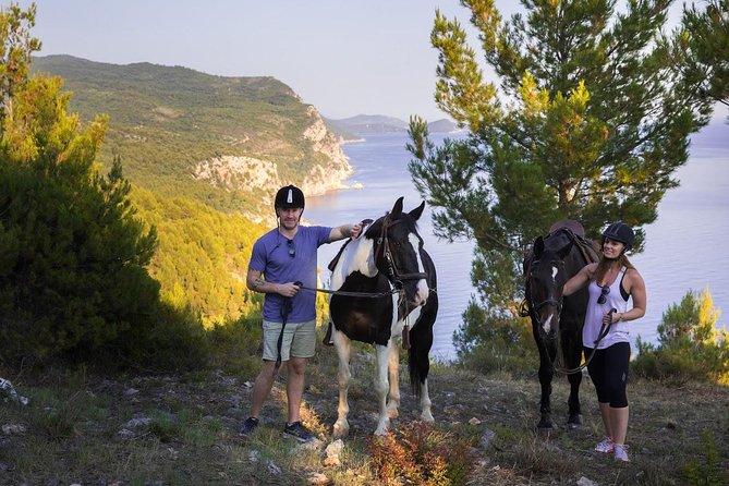Horseback Riding in Konavle Region with Transport from Dubrovnik - Meeting Your Horse at Kojan Koral