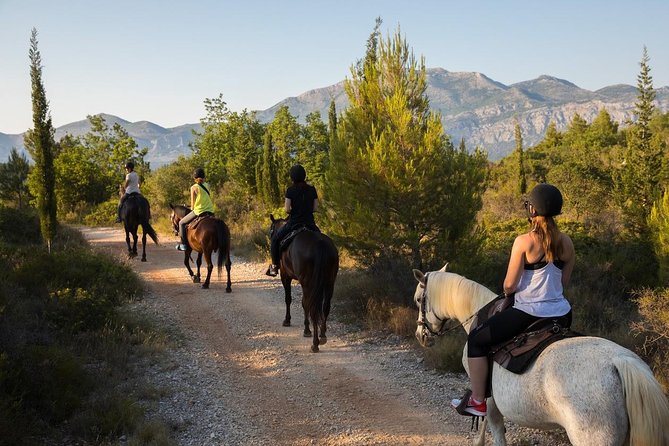 Horseback Riding in Konavle Region with Transport from Dubrovnik - Along the Konavle Cliffs Above the Adriatic