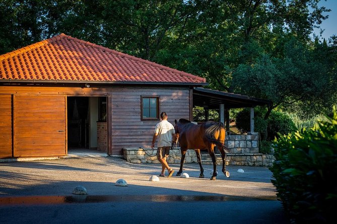 Horseback Riding in Konavle Region with Transport from Dubrovnik - Food, Wine, and the Stable After the Ride