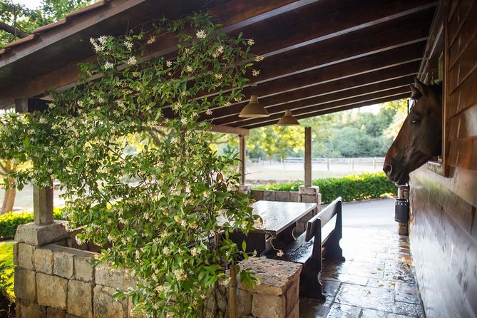 Horseback Riding in Konavle Region with Transport from Dubrovnik - Who Should Book This Ride