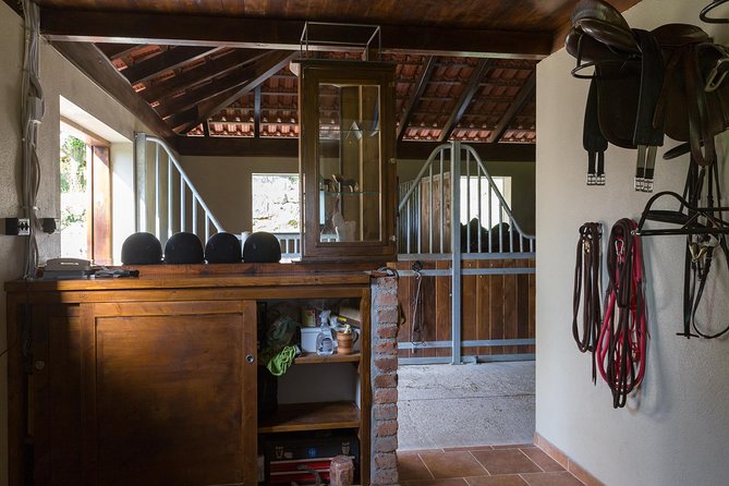 Horseback Riding in Konavle Region with Transport from Dubrovnik - Timing, Weather, and Practical Details