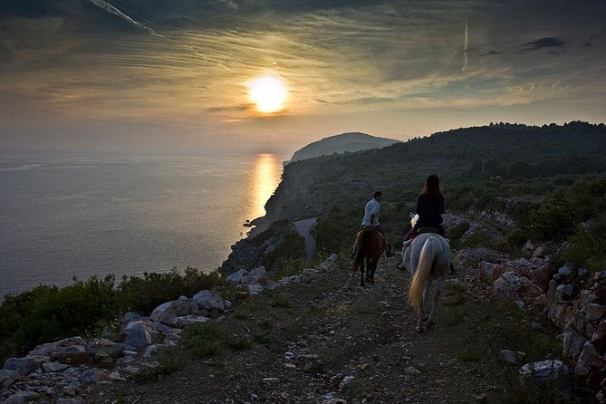 Horseback Riding in Konavle Region with Transport from Dubrovnik - Should You Book Kojan Koral?