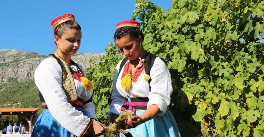 Konavle Valley: Private Half-Day Tour with Wine Tasting - Key points to know before booking