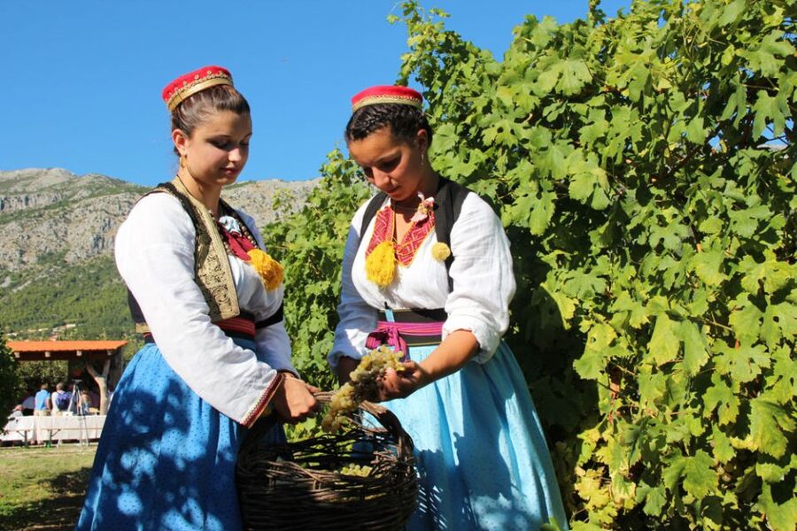 Konavle Valley: Private Half-Day Tour with Wine Tasting - Why leave Dubrovnik for Konavle Valley?