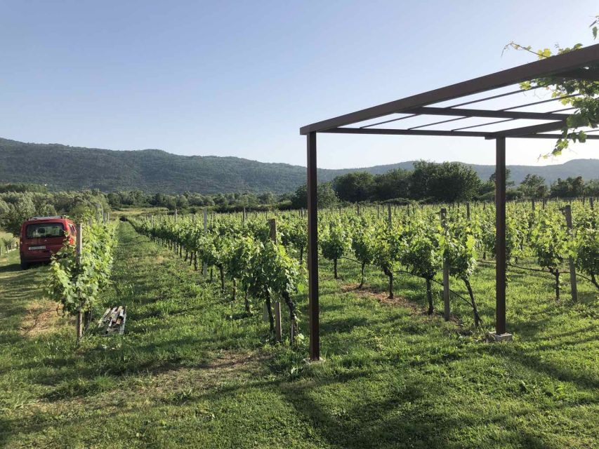 Konavle Valley: Private Half-Day Tour with Wine Tasting - Sokol Tower, with an entrance fee to remember
