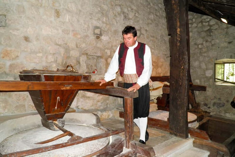 Konavle Valley: Tour with Wine Tasting from Dubrovnik - The 10-minute train ride through the vineyards