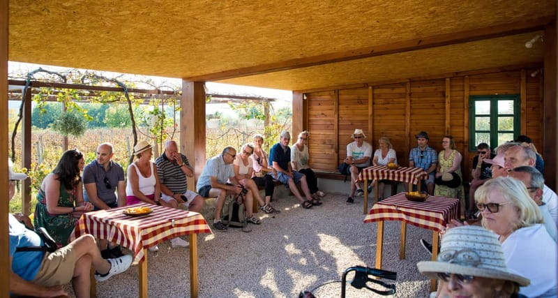 Konavle Valley: Tour with Wine Tasting from Dubrovnik - What the $104 price includes