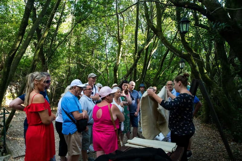 Konavle Valley: Tour with Wine Tasting from Dubrovnik - Timing, transport, and the pace of the day