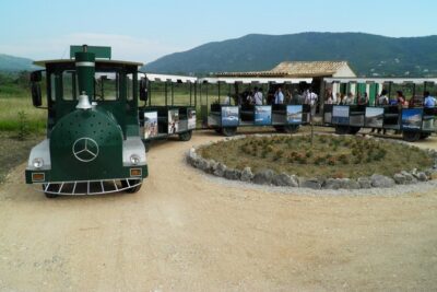 Konavle Valley Wine Tour from Dubrovnik with Train Ride and Wine Tasting