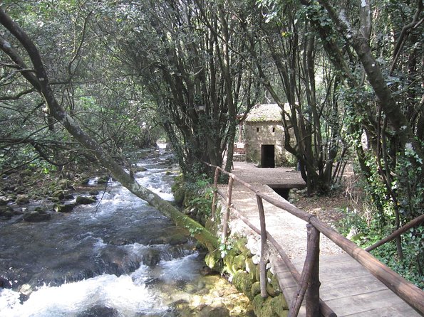 Konavle Valley Wine Tour from Dubrovnik with Train Ride and Wine Tasting - What kind of experience is this?