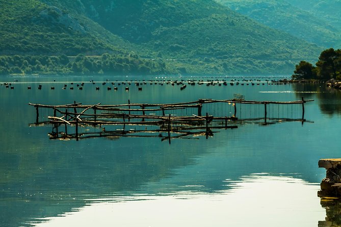 Korcula, Ston, Wine Tasting and Lunch - Tour from Dubrovnik - A seaside meal in Drače