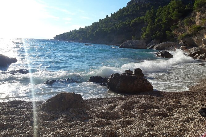 Korcula, Ston, Wine Tasting and Lunch - Tour from Dubrovnik - Your driver-guide can shape the day