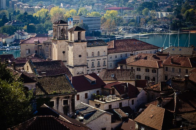 Montenegro Full-Day Trip from Dubrovnik with Optional Boat Trip - What the $72.41 price really covers