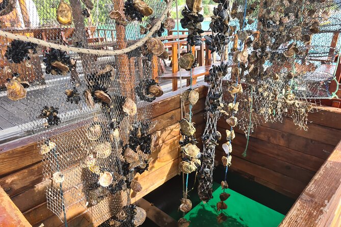 Oysters & Wine Tour From Dubrovnik (Small Group) - Why This Dubrovnik Day Trip Works