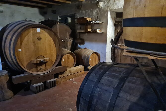 Oysters & Wine Tour From Dubrovnik (Small Group) - Timing, Pace, and Practical Details