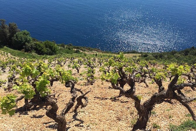 Peljesac and Ston Private Wine Tour with Tastings from Dubrovnik - Mali Ston: oysters, salt, and fortress views