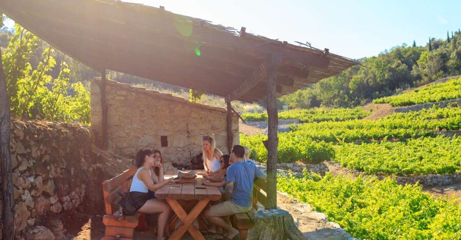 Pelješac Full-Day Wine and Food Tour from Dubrovnik - What makes this Pelješac day special