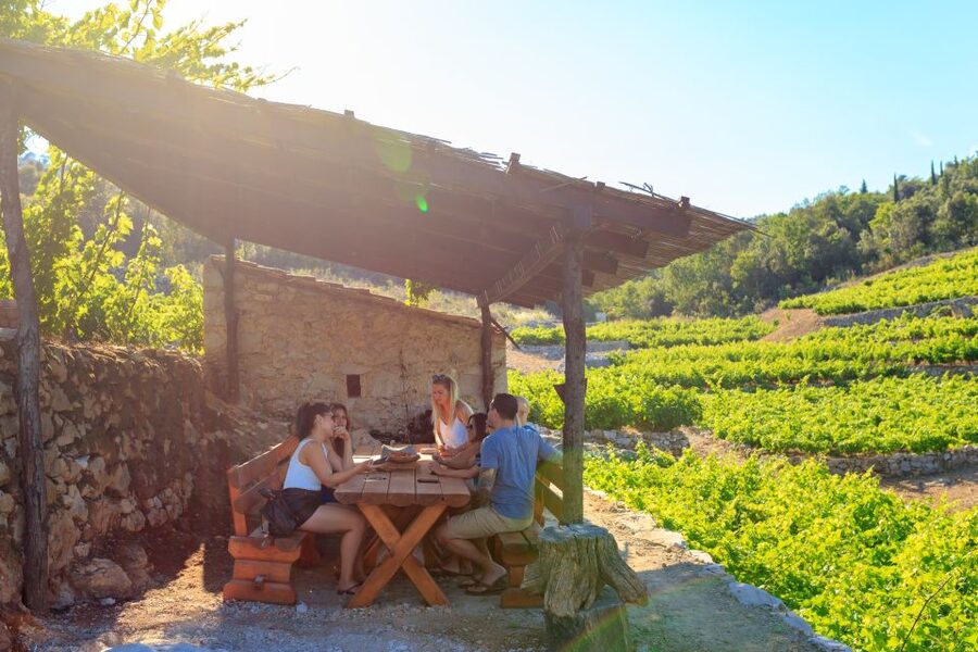 Pelješac Full-Day Wine and Food Tour from Dubrovnik - Ston and Mali Ston: walls, salt, and oysters