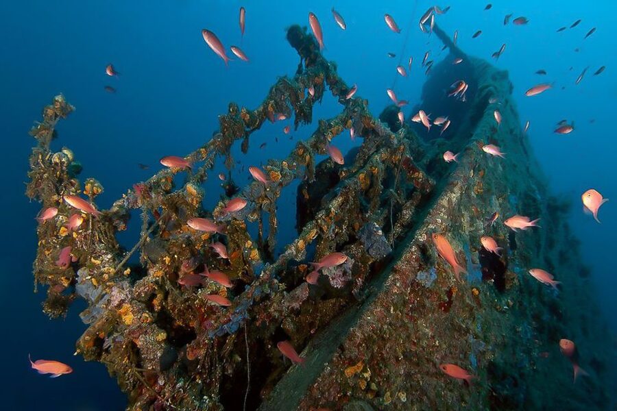 Scuba Diving in Dubrovnik: 1 Dive for Certified Divers - Key points to know before booking