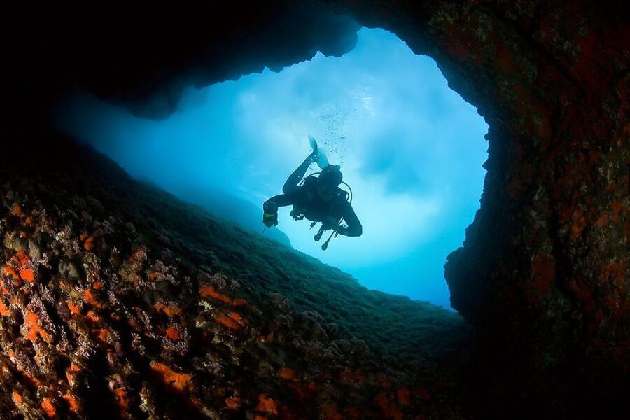 Scuba Diving in Dubrovnik: 1 Dive for Certified Divers - Should you book this Blue Planet session?