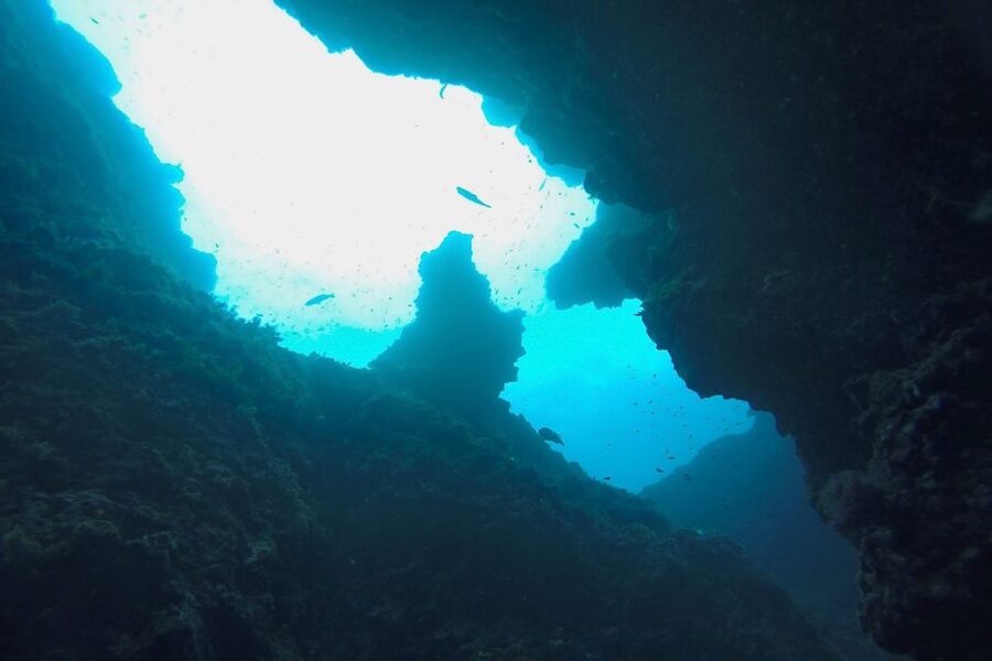 Scuba Diving in Dubrovnik: 1 Dive for Certified Divers - Why the small group matters underwater