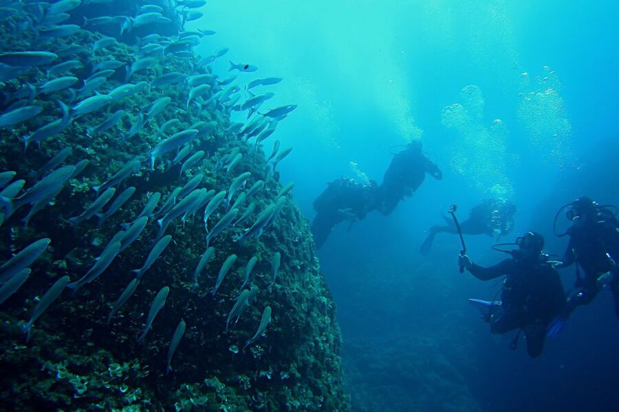 Scuba Diving in Dubrovnik: 1 Dive for Certified Divers - Is $94 a fair price?