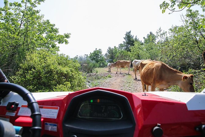 Self-drive Off Road Buggy - Who will get the most from this ride?