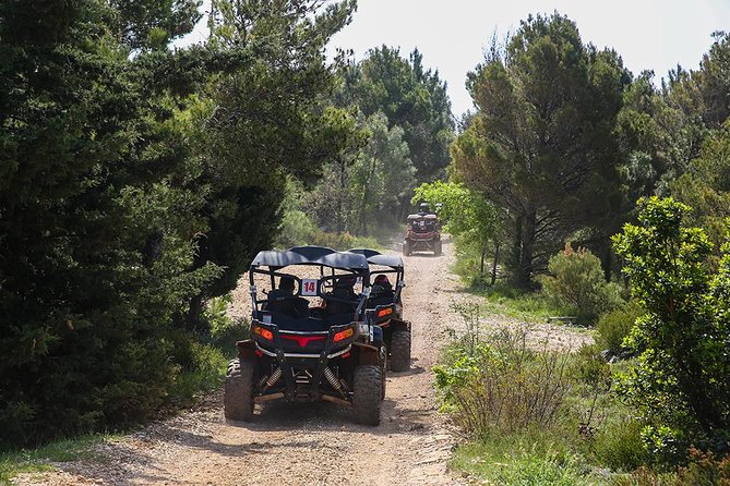 Self-drive Off Road Buggy - The views are half the reason to go