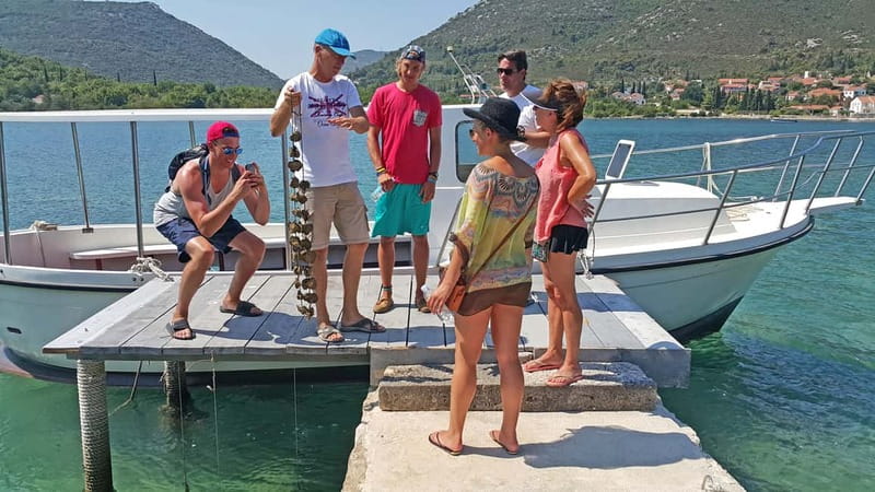 Ston Oyster & Wine Tasting Private Tour From Dubrovnik - Why the oyster farm is the heart of the day