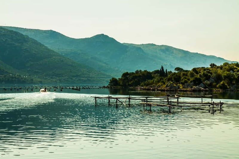 Ston Oyster & Wine Tasting Private Tour From Dubrovnik - Ston, Ostrog, and the seafood meal