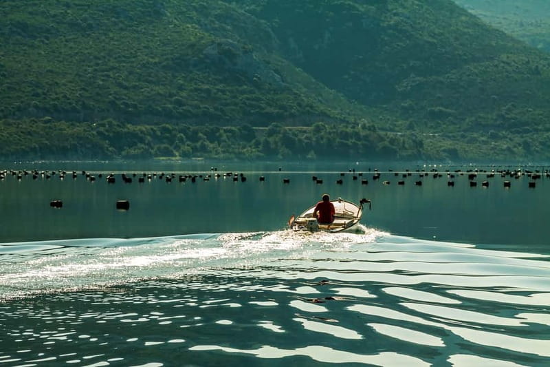 Ston Oyster & Wine Tasting Private Tour From Dubrovnik - The drive from Dubrovnik to Ston