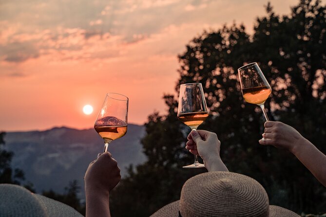 Sunset wine tasting in vineyard - Key details at a glance