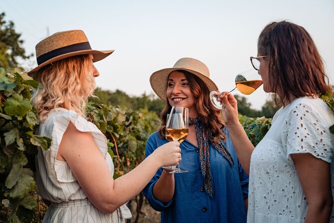 Sunset wine tasting in vineyard - A quiet alternative to Dubrovnik’s evening crowds