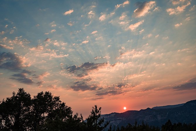 Sunset wine tasting in vineyard - Is $96.55 a fair price?
