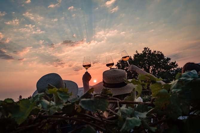 Sunset wine tasting in vineyard - Who should book this experience?