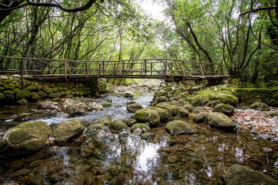 Taste & Tradition of Dubrovnik Countryside - The Ljuta River and the old water-powered mill